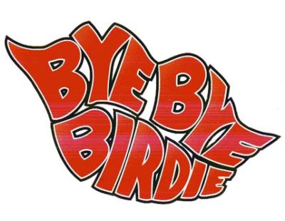 2009_birdie_logo